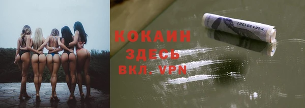 соль ск Инсар