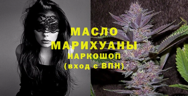 соль ск Инсар