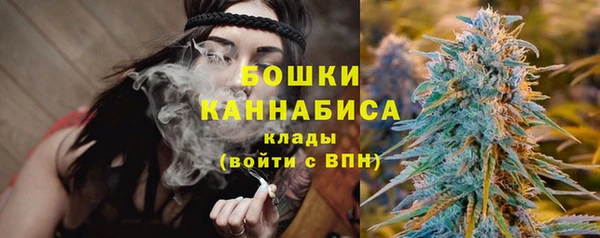 дживик Иннополис
