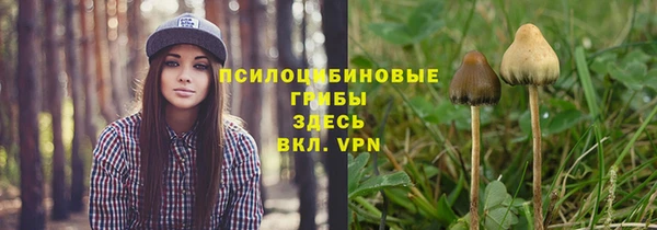 гашиш Касимов