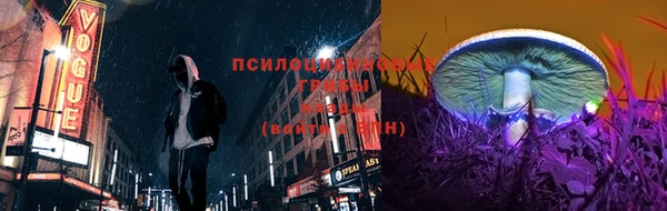 сатива Карпинск